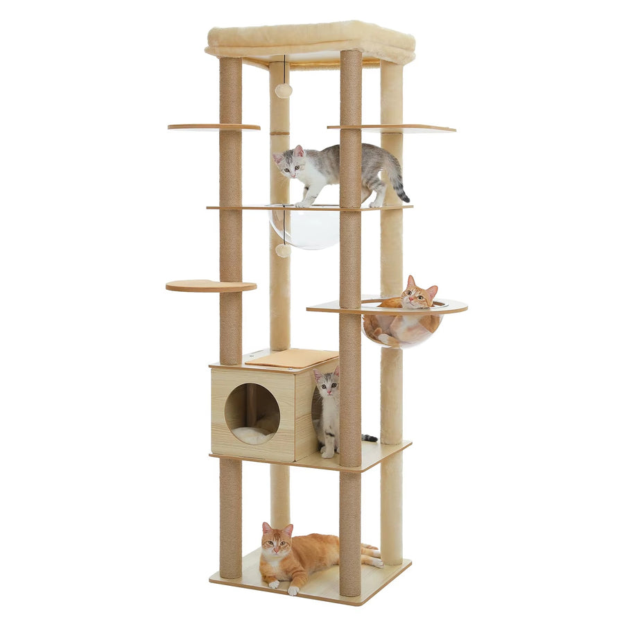 Arbre à chat en bois design multi-niveaux | Niche, hamac et grand perchoir | Bali