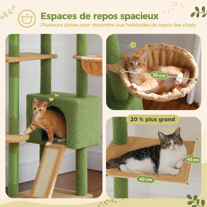 Arbre à chat design XXL cactus du sol au plafond | Niche et hamac | Oasis