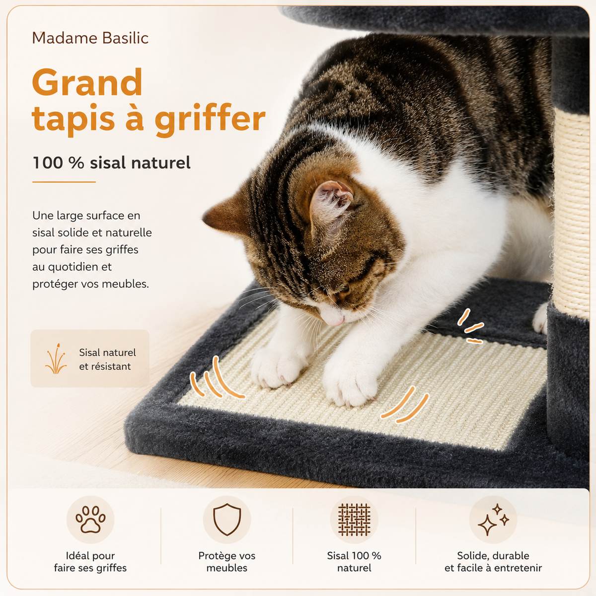 Du sisal là où le chat prend appui — Arbre à chat design | 2 niches, hamacs et perchoirs | Milo