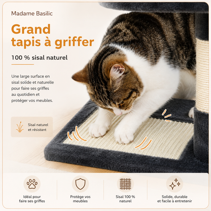 Arbre à chat design | 2 niches, hamacs et perchoirs | Milo