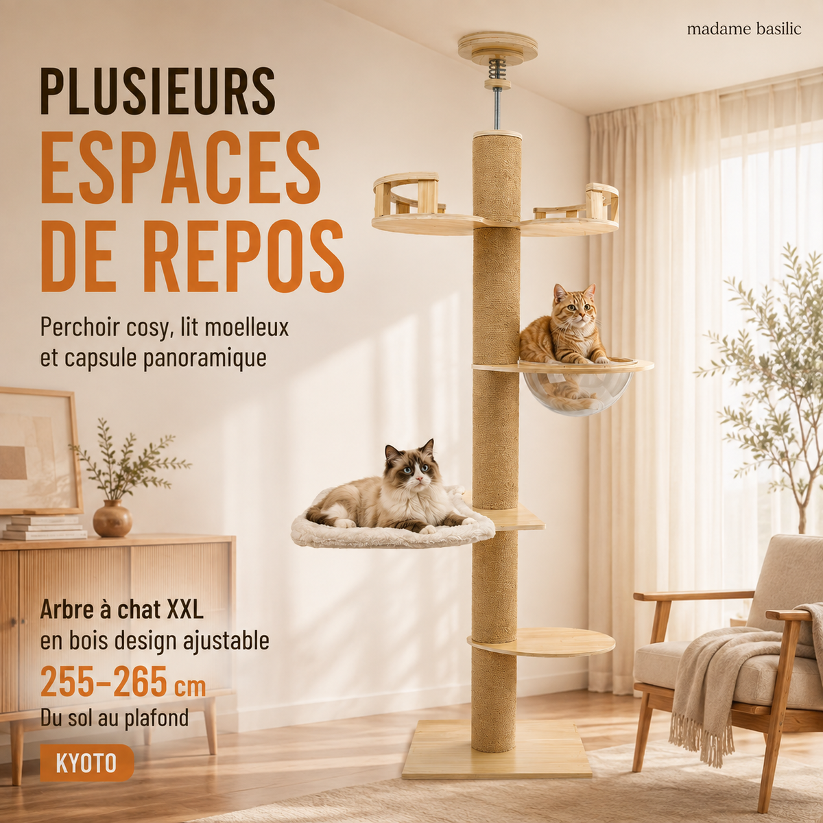 Arbre à chat XXL en bois design ajustable 255–265 cm | Du sol au plafond | Kyoto