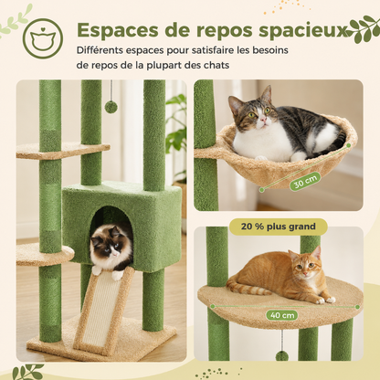 Arbre à chat design XXL cactus du sol au plafond | Niche et hamac | Oasis