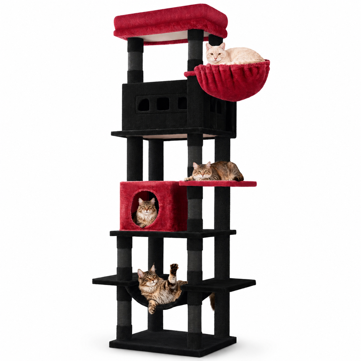 Arbre à chat XXL pour Maine Coon 170 cm | Grand perchoir et tapis lavable | Oslo