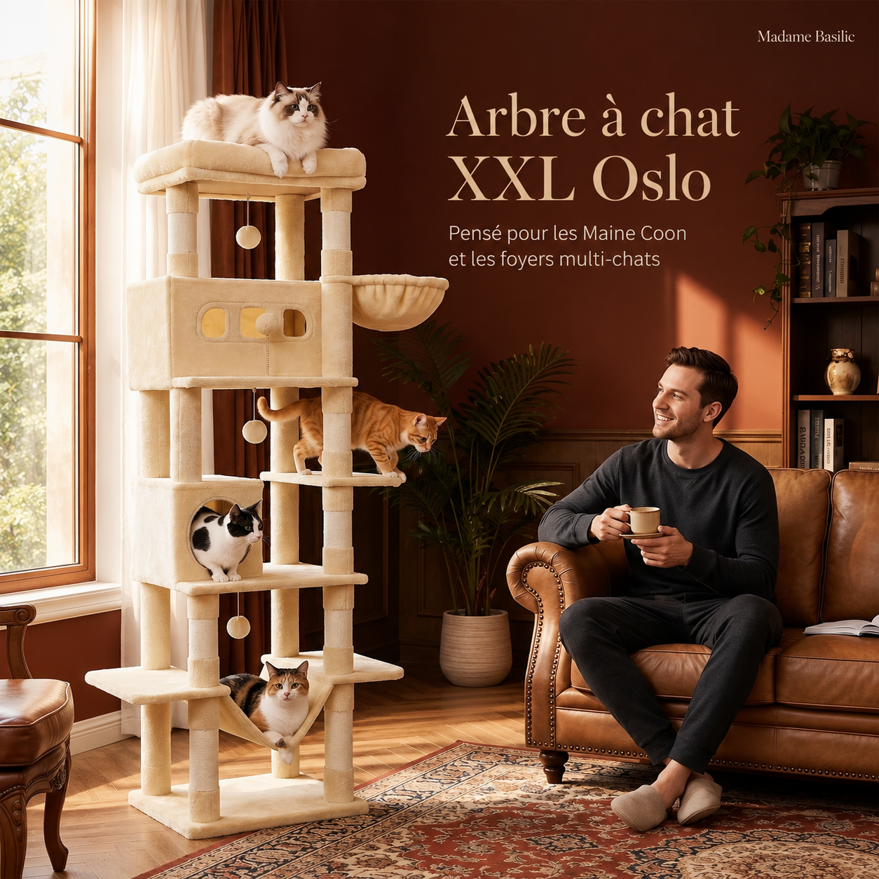 Arbre à chat XXL pour Maine Coon 170 cm | Grand perchoir et tapis lavable | Oslo
