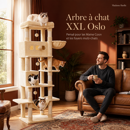 Arbre à chat XXL pour Maine Coon 170 cm | Grand perchoir et tapis lavable | Oslo