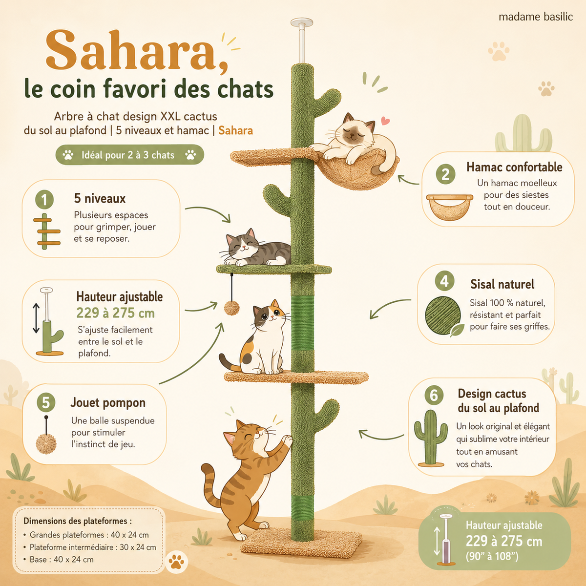 Contenu et détails — Arbre à chat design XXL cactus du sol au plafond | 5 niveaux et hamac | Sahara