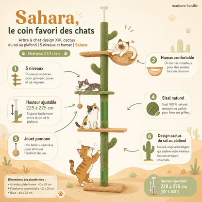 Arbre à chat design XXL cactus du sol au plafond | 5 niveaux et hamac | Sahara