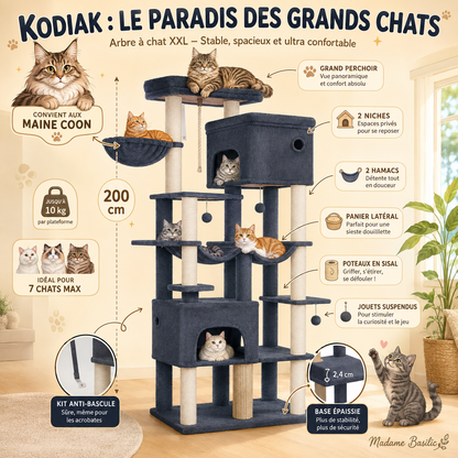Arbre à chat XXL pour Maine Coon 200 cm | 2 niches, 2 hamacs et grand perchoir | Kodiak