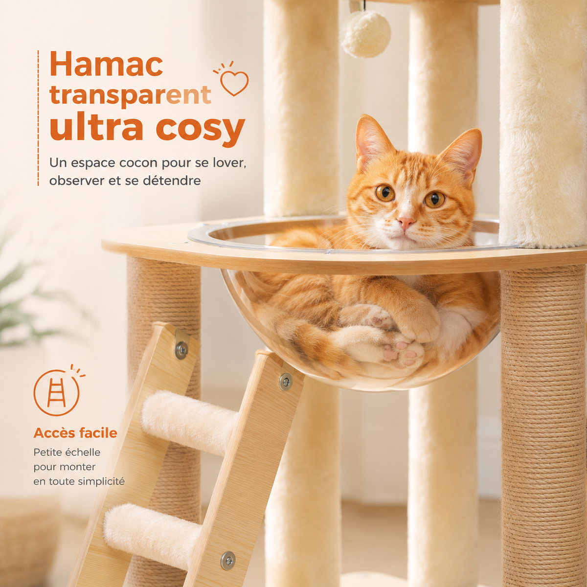 Arbre à chat en bois design multi-niveaux | Niche, hamac et grand perchoir | Bali
