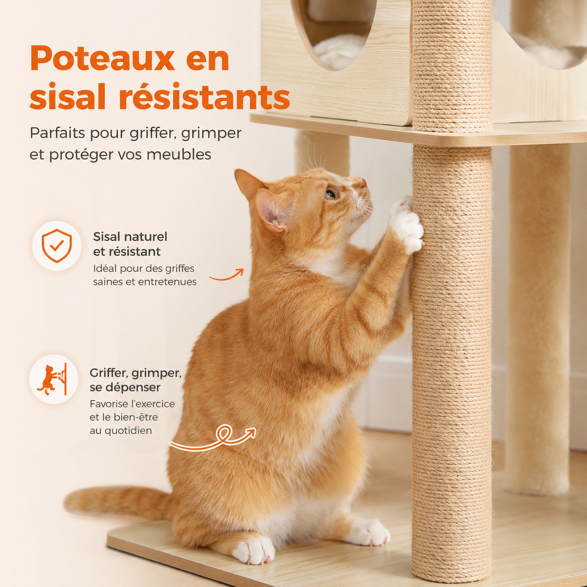 Du sisal naturel sur les points d’appui — Arbre à chat en bois design multi-niveaux | Niche, hamac et grand perchoir | Bali