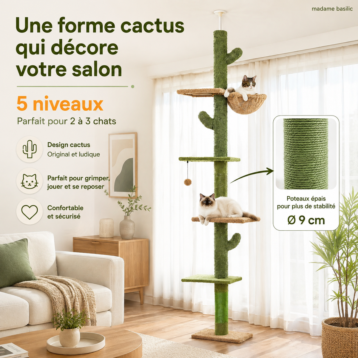 Arbre à chat design XXL cactus du sol au plafond | 5 niveaux et hamac | Sahara