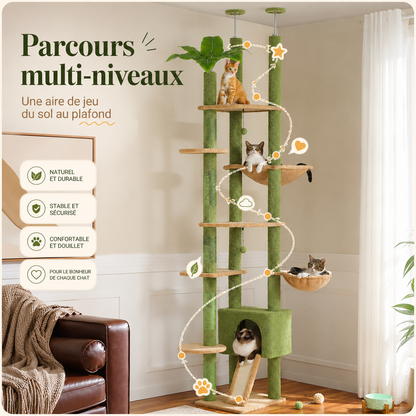 Arbre à chat design XXL cactus du sol au plafond | Niche et hamac | Oasis