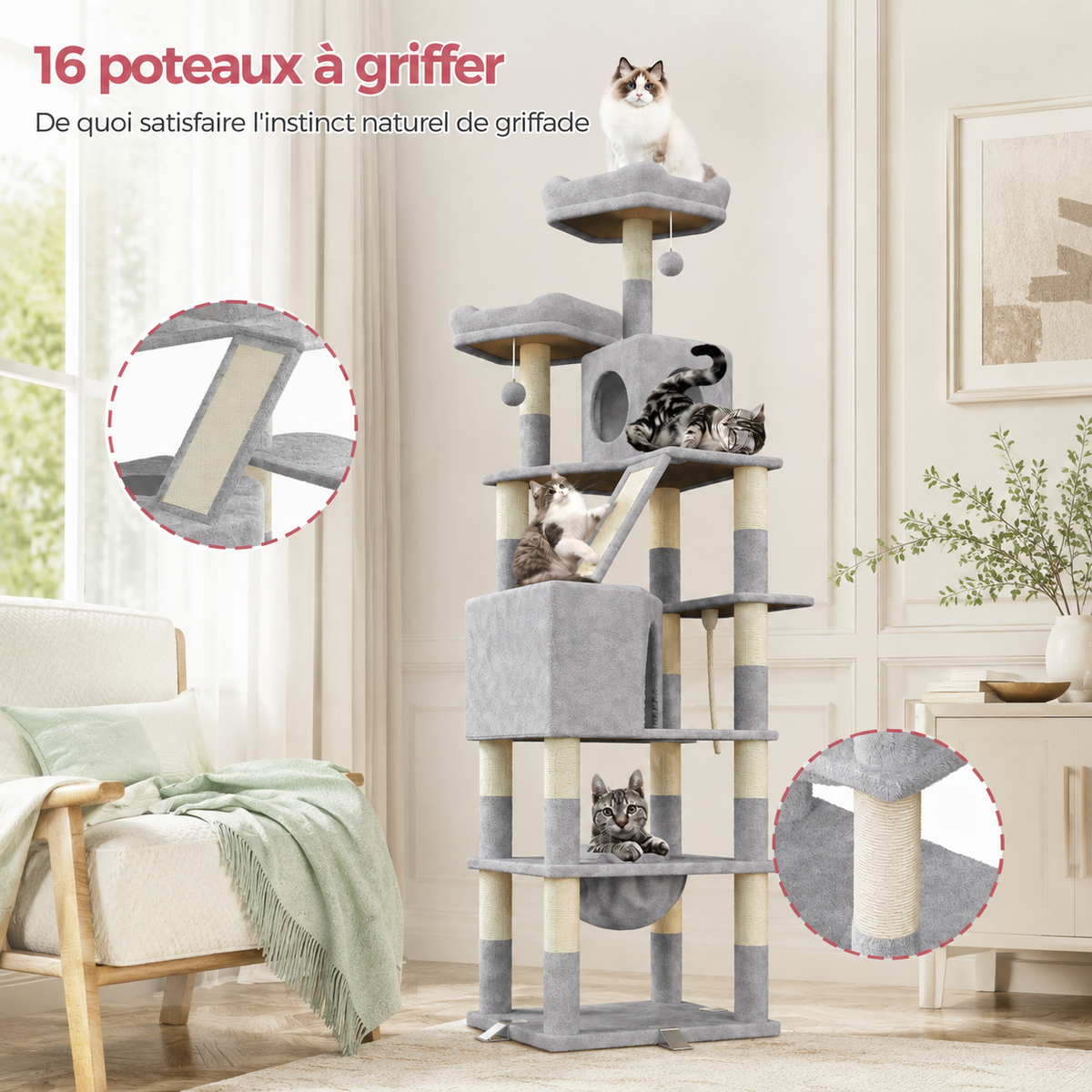 Seize surfaces pour s’étirer — Arbre à chat XXL pour Maine Coon 208 cm | Hamac et plateformes renforcées | Everest
