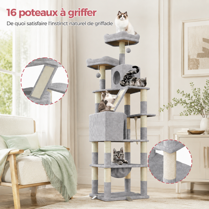Arbre à chat XXL pour Maine Coon 208 cm | Hamac et plateformes renforcées | Everest