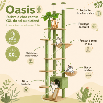 Arbre à chat design XXL cactus du sol au plafond | Niche et hamac | Oasis