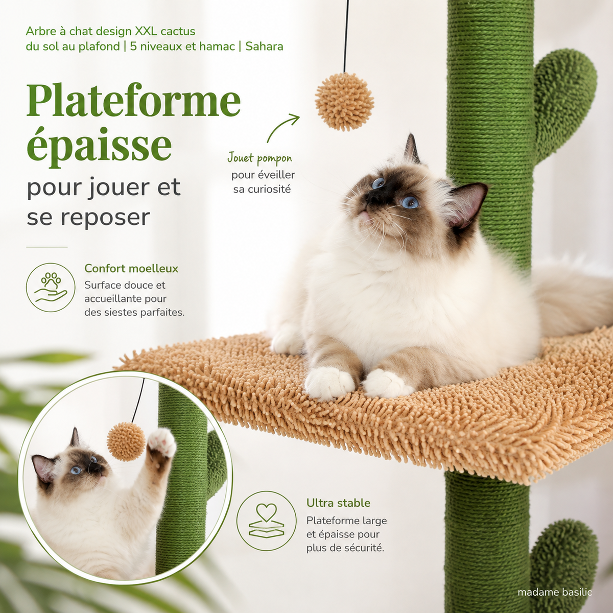 Des plateformes épaisses et stables — Arbre à chat design XXL cactus du sol au plafond | 5 niveaux et hamac | Sahara