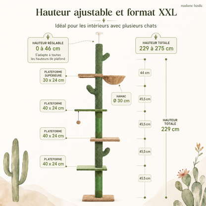 Arbre à chat design XXL cactus du sol au plafond | 5 niveaux et hamac | Sahara