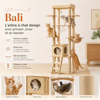 Arbre à chat en bois design multi-niveaux | Niche, hamac et grand perchoir | Bali
