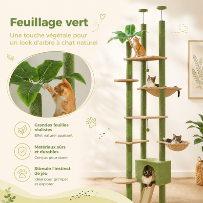 Arbre à chat design XXL cactus du sol au plafond | Niche et hamac | Oasis