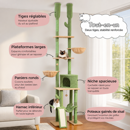 Arbre à chat design XXL du sol au plafond | Hauteur réglable, niche et hamacs | Liane