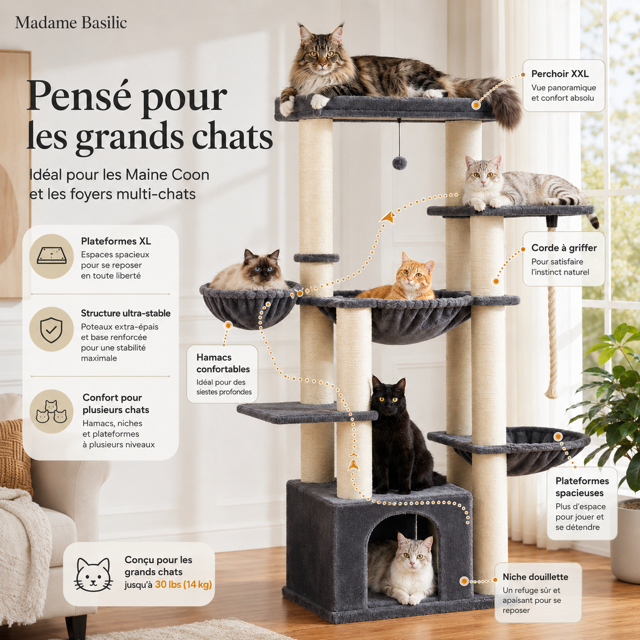 Éléments et espaces de l’arbre à chat Titan