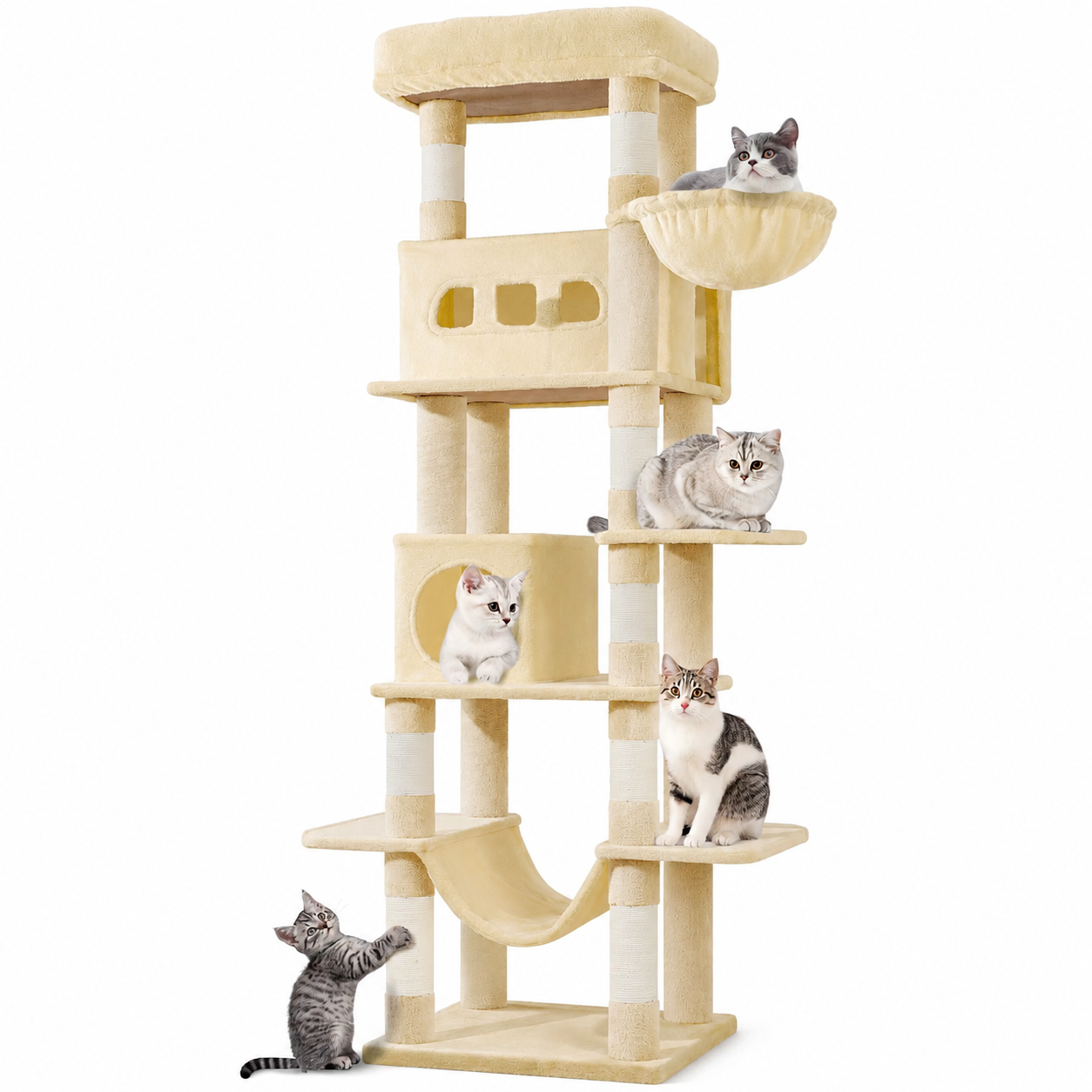 Arbre à chat XXL pour Maine Coon 170 cm | Grand perchoir et tapis lavable | Oslo