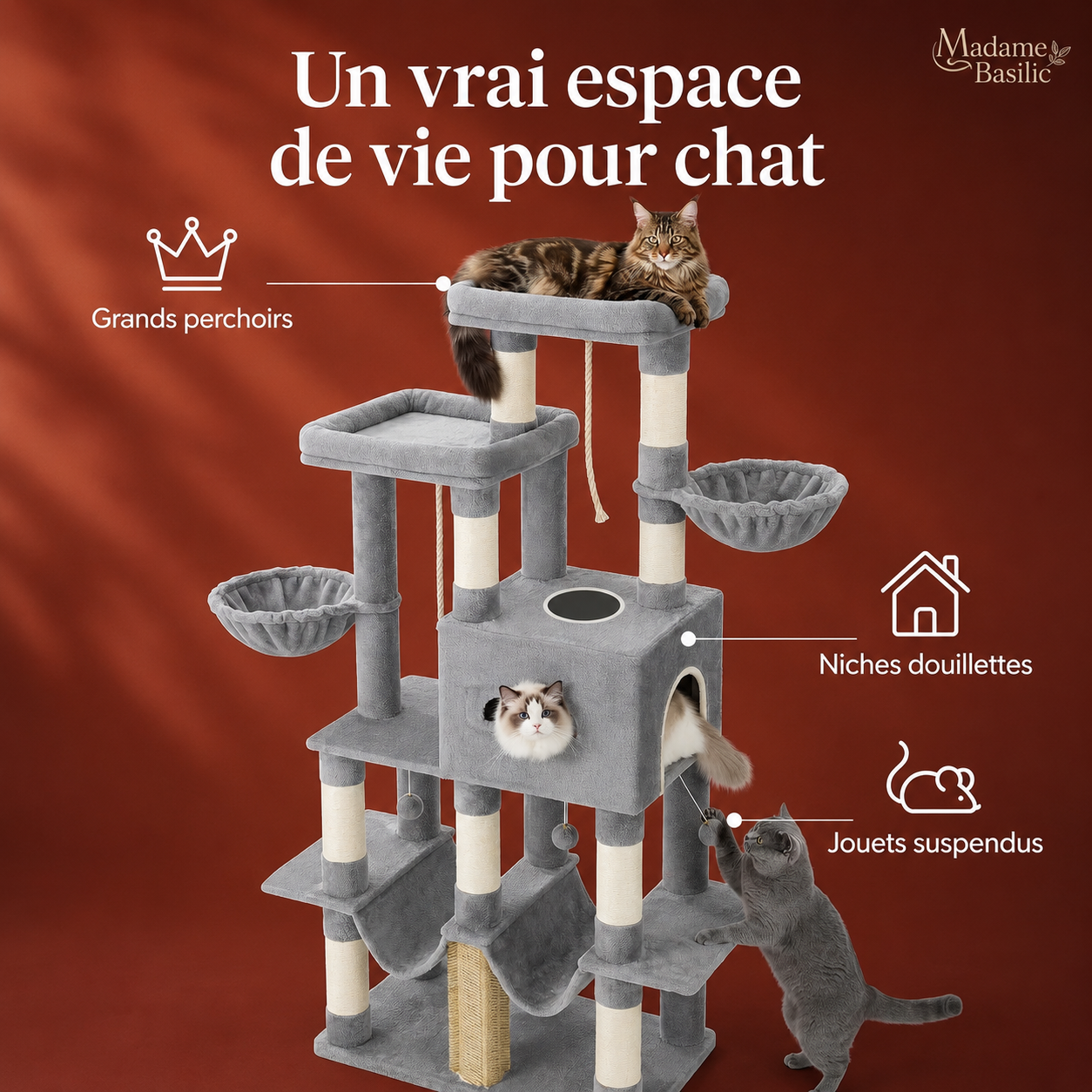 Un choix de couchages pour chaque humeur — Arbre à chat XXL pour Maine Coon 170 cm | Grand perchoir et tapis lavable | Oslo