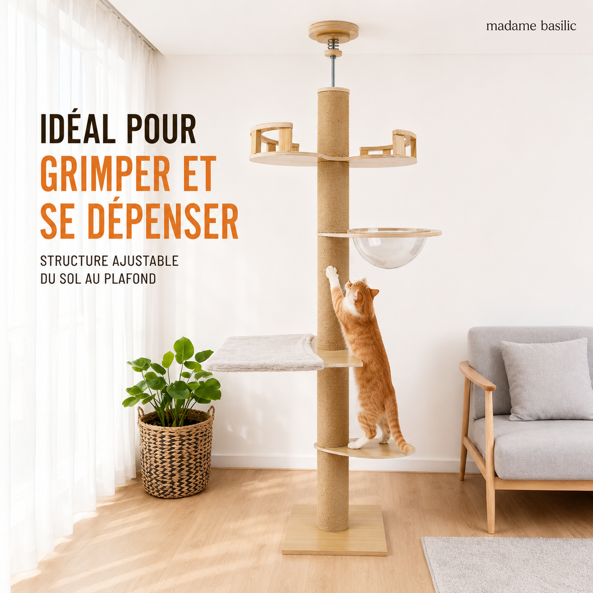Arbre à chat XXL en bois design ajustable 255–265 cm | Du sol au plafond | Kyoto