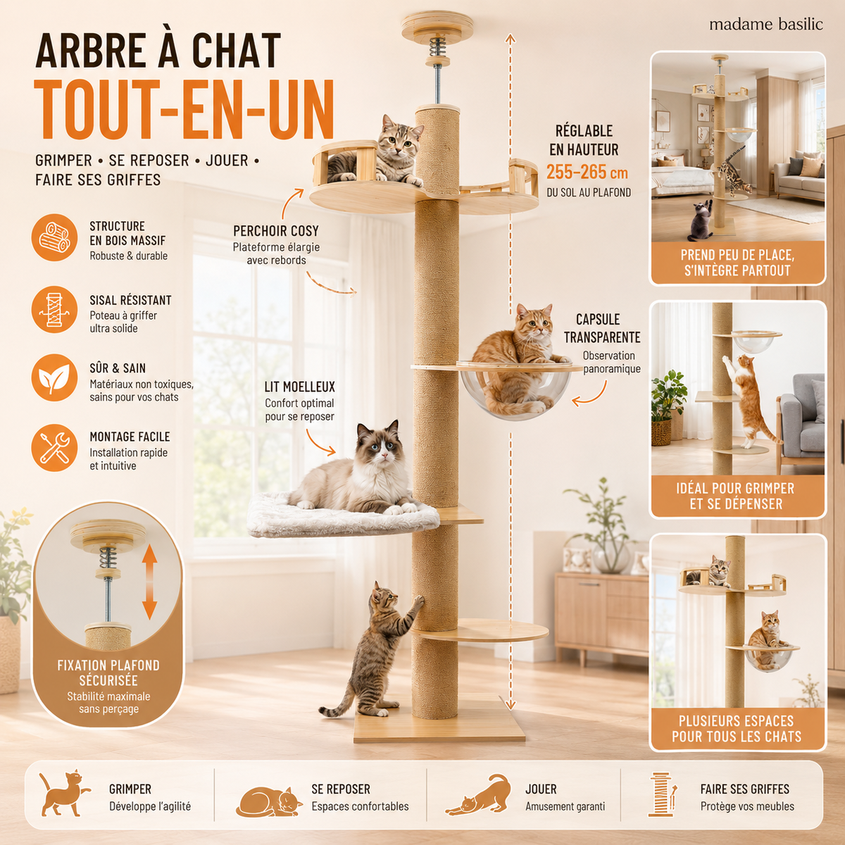 Arbre à chat XXL en bois design ajustable 255–265 cm | Du sol au plafond | Kyoto
