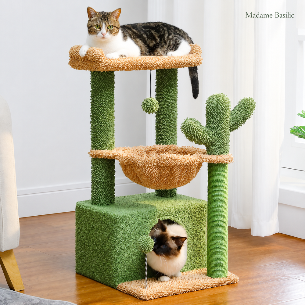 Petits arbres à chat