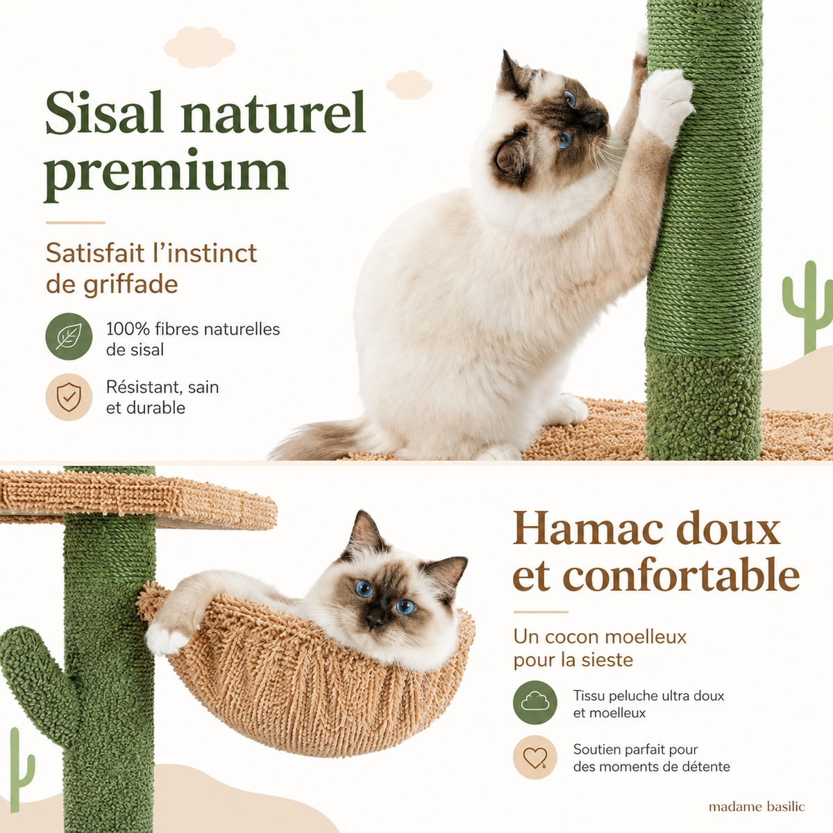 Arbre à chat design XXL cactus du sol au plafond | 5 niveaux et hamac | Sahara