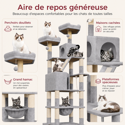 Arbre à chat XXL pour Maine Coon 208 cm | Hamac et plateformes renforcées | Everest