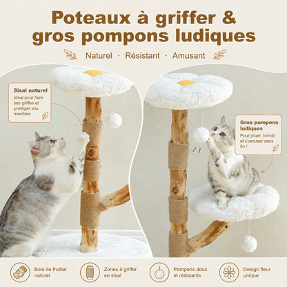 Petit arbre à chat design en bois 92 cm | 2 perchoirs fleuris et griffoir en sisal | Marguerite