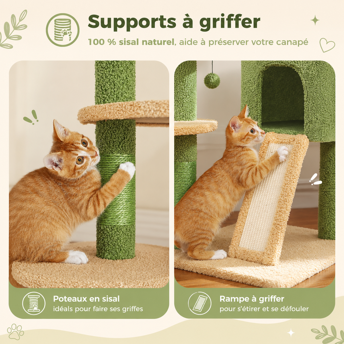 Arbre à chat design XXL cactus du sol au plafond | Niche et hamac | Oasis