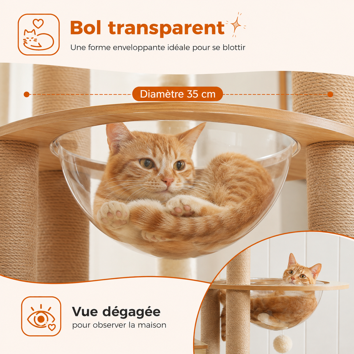 Une capsule transparente de 35 cm — Arbre à chat en bois design multi-niveaux | Niche, hamac et grand perchoir | Bali