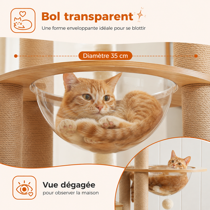 Arbre à chat en bois design multi-niveaux | Niche, hamac et grand perchoir | Bali