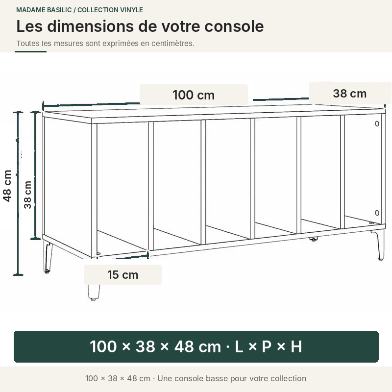 Console basse — 100 × 38 × 48 cm