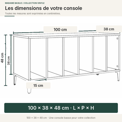 Console basse — 100 × 38 × 48 cm