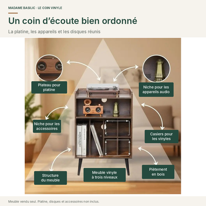 Plateau pour platine, niches audio et casiers pour les disques