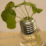 Lot de 3 vases décoratifs "Ampoule"