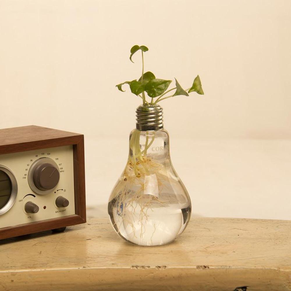 Lot de 3 vases décoratifs "Ampoule"