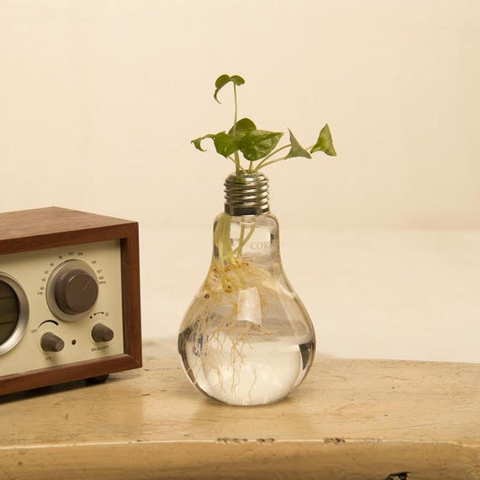 Lot de 3 vases décoratifs "Ampoule"